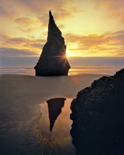 Oregon Rock formation at sunset on Bandon Beach